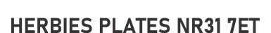 Made-up car standard oblong rear plate: 520 x 111mm with ENG flag