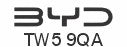 Made-up oversize car rear plate: 533 x 152mm with green flash